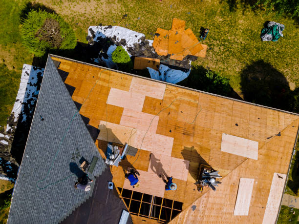 Best Emergency Roof Repair  in Andale, KS