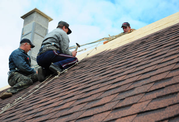 Best Emergency Roof Repair  in Andale, KS